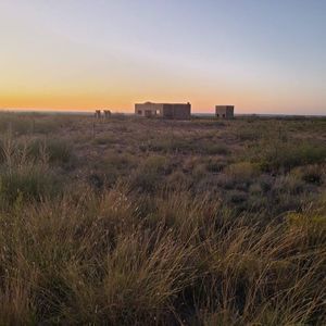 Meet your Posher, Nicholas